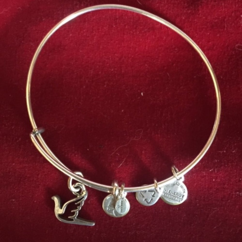 Alex and Ani Sacred Dove bracelet